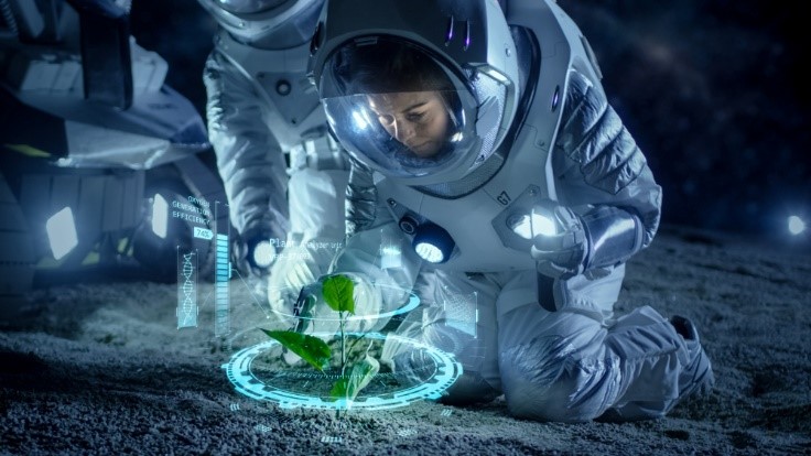 Astronauts planting a plant on the surface of the moon.
