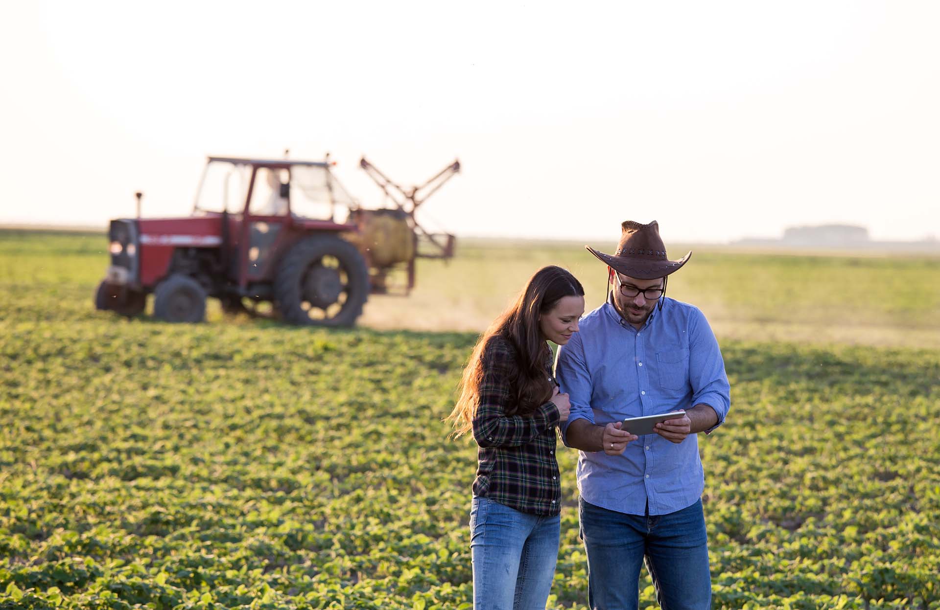 Two farmers man and woman with tablet standing in soybean field in front of tractor at sunset